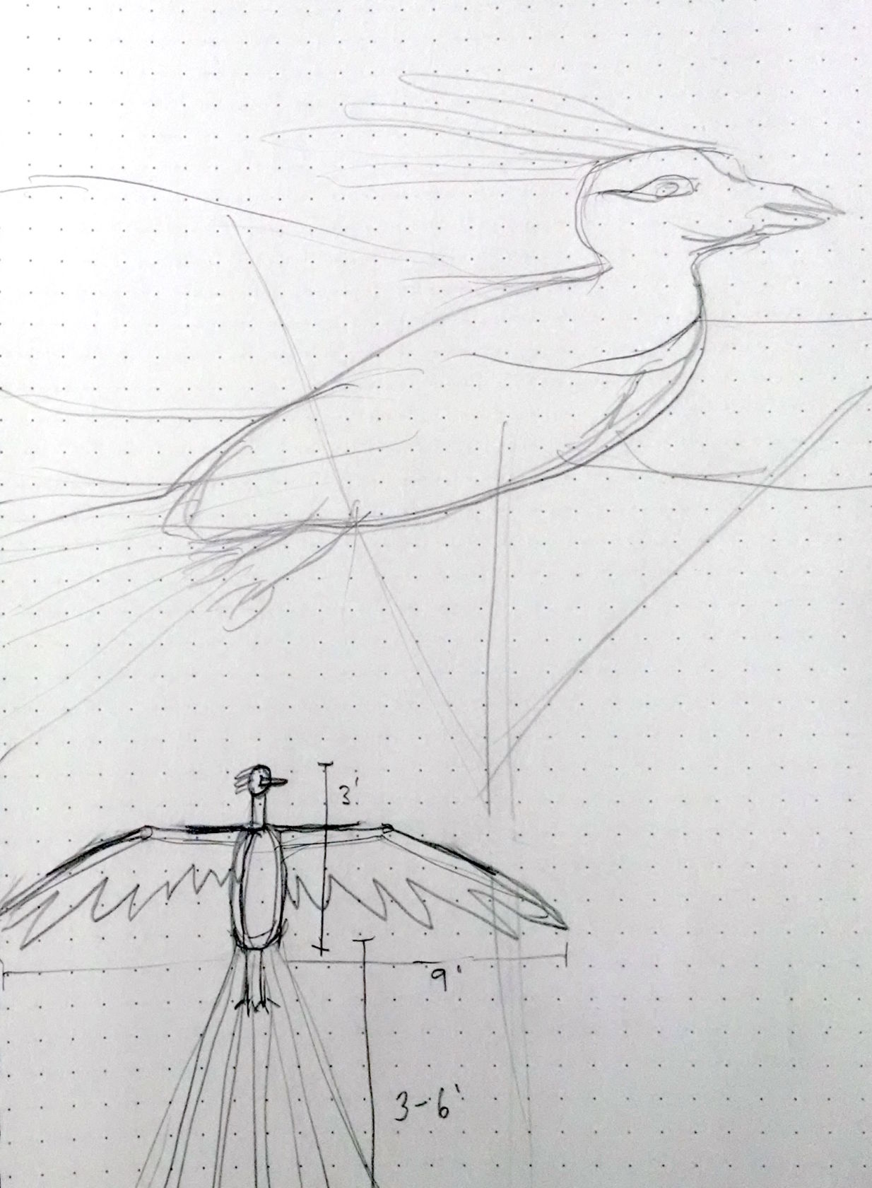 Luminaria firebird sketch